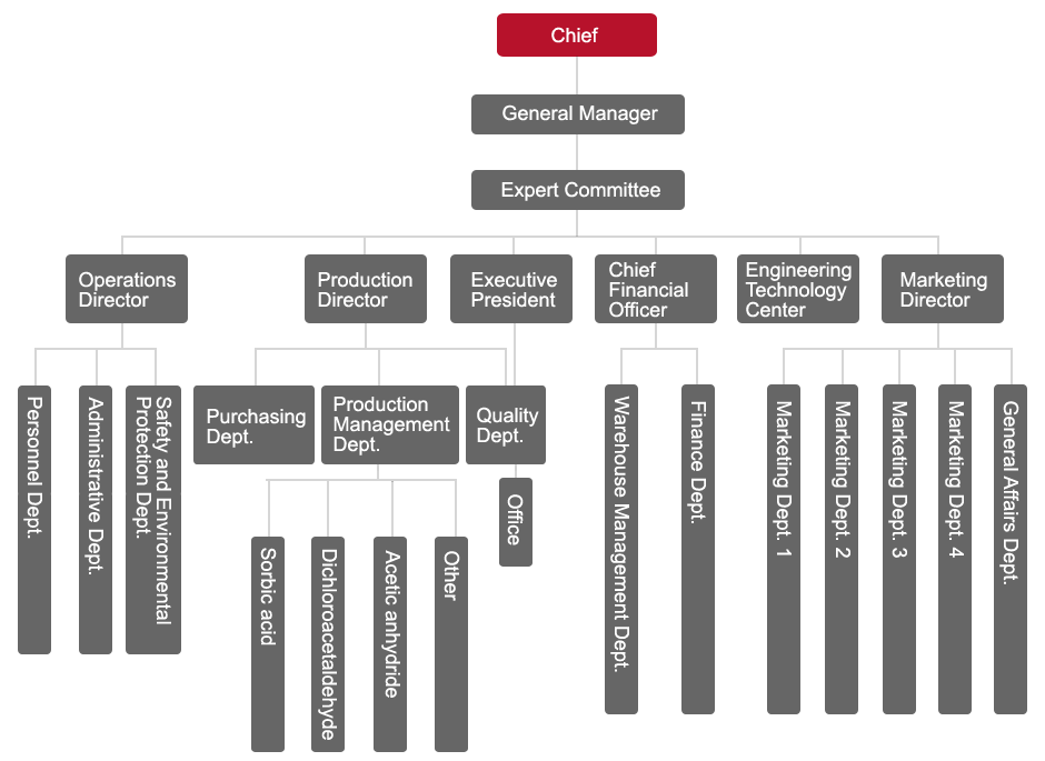 Estructura de la organización